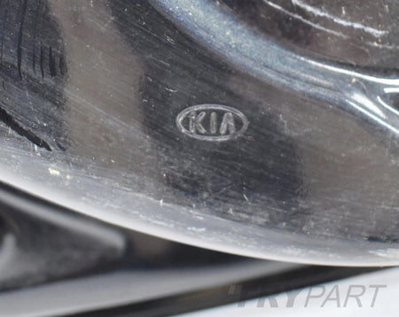 KIA NIRO LEFT REAR DOOR ORG