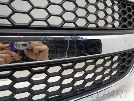HYUNDAI H1 II 07- grill catcher