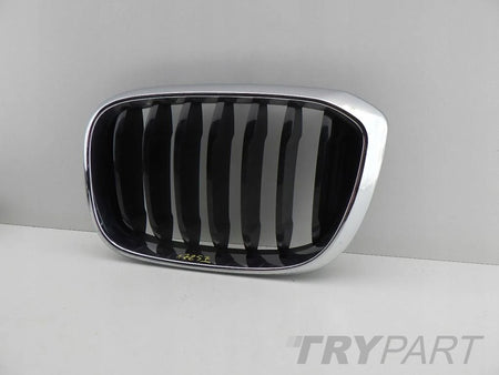 BMW X3 G01 X4 G02 right left kidney grill grille