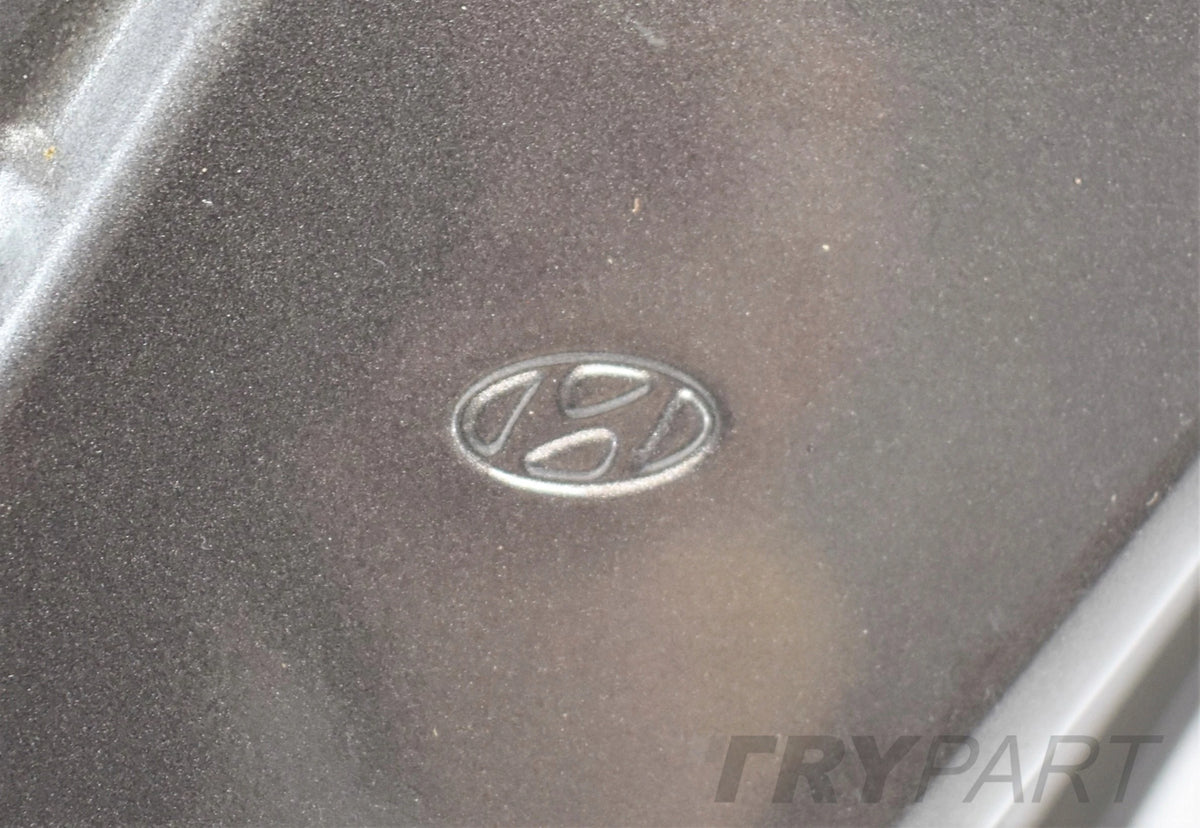 HYUNDAI TUCSON II RIGHT REAR DOOR ORG