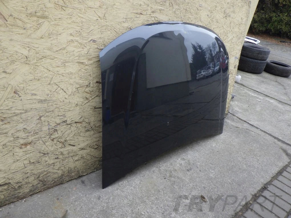 DACIA DUSTER 10- Hood