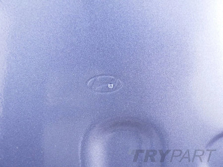 HYUNDAI KONA 17- Right Rear Door