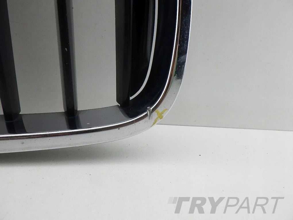 BMW 5 G30 G31 Right Kidney Grille