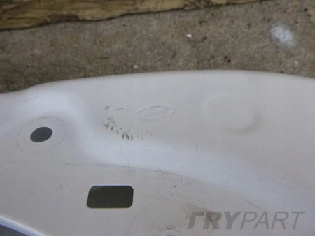 HYUNDAI IONIQ Right Front Door