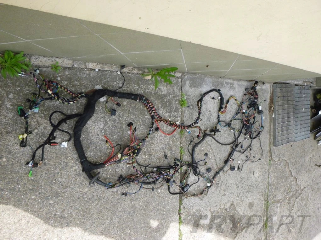 SMART FORTWO 451 Main Wiring Harness