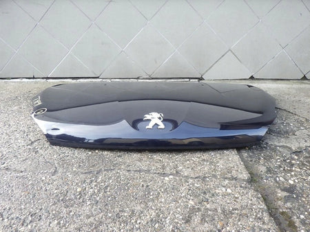 PEUGEOT 208 12- HOOD