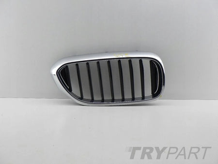 BMW 5 G30 G31 Right Kidney Grille