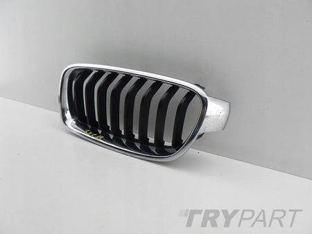 BMW 3 F30 F31 4 IV F32 F33 F36 2012- GRILLE KIDNEY LEFT