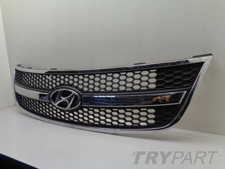 HYUNDAI H1 II 07- grill catcher