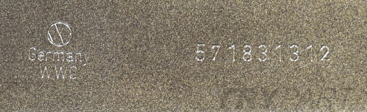 VW TIGUAN III 571 RIGHT FRONT DOOR WITH STRIP ORG