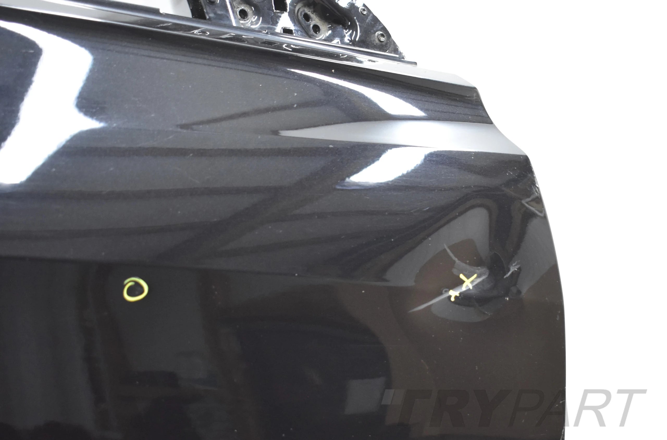 AUDI Q8 4M8 RIGHT FRONT DOOR + STRIP