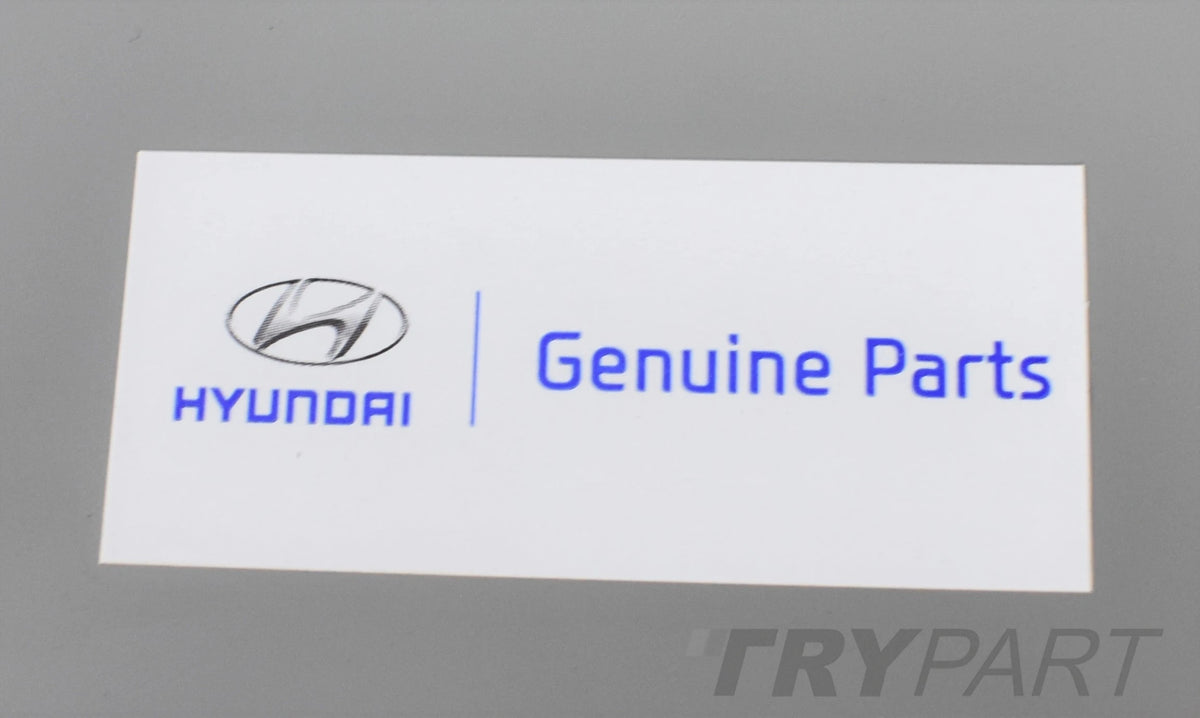 HYUNDAI SANTA FE IV REAR FENDER PANEL RIGHT