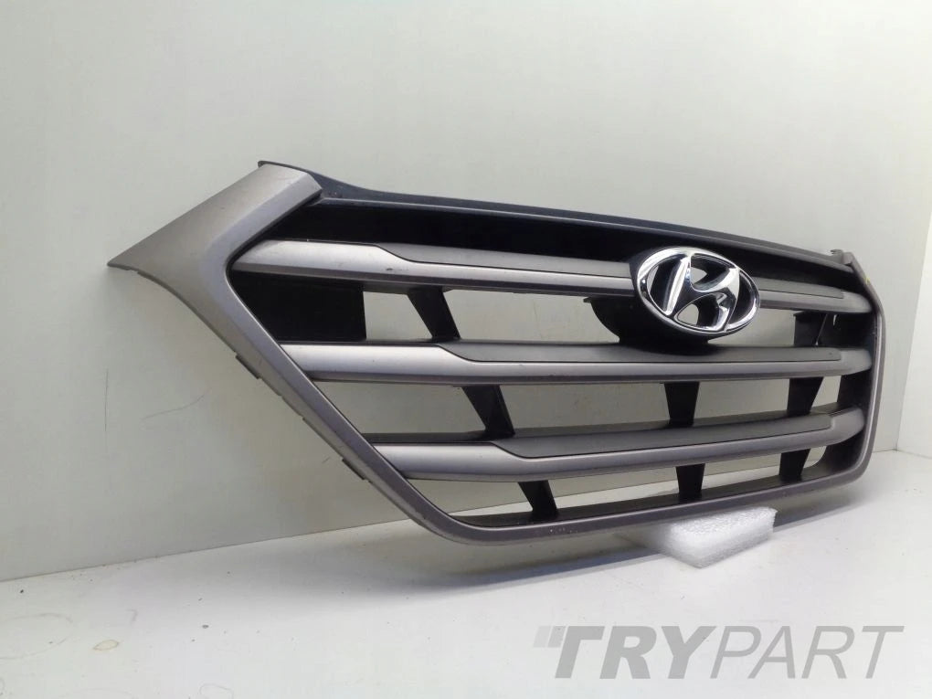 HYUNDAI TUCSON 3 III 15- grill catcher