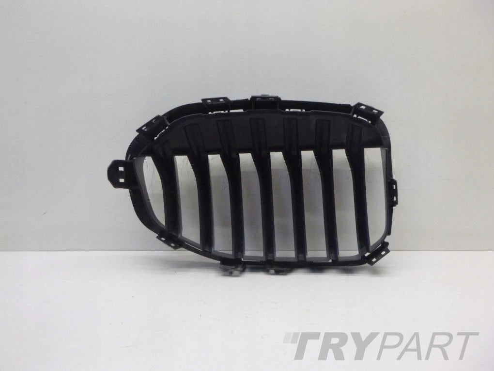 BMW 1 F40 Grille Kidney Left