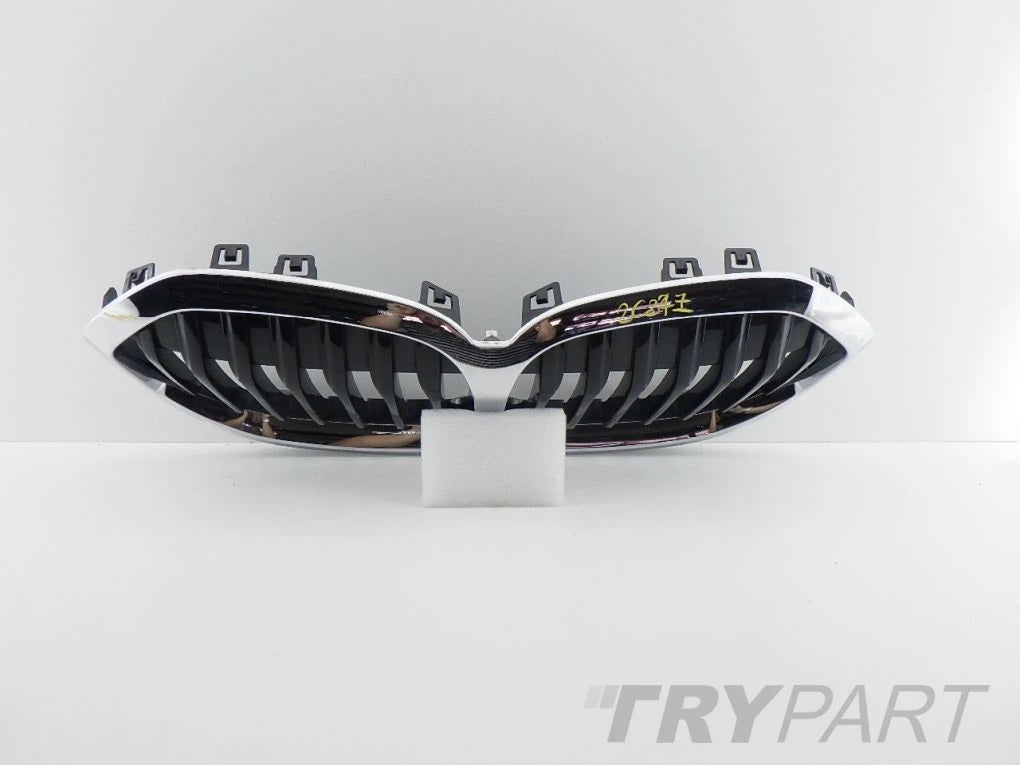 BMW 1 F40 F41 Grille Trim