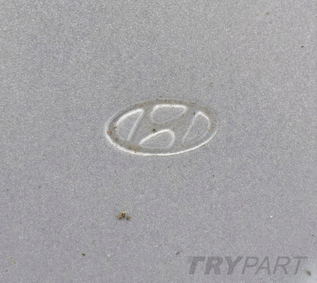 HYUNDAI I40 RIGHT FRONT DOOR ORG