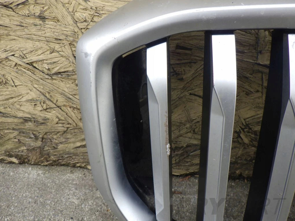 BMW X5 G05 X6 G06 Grille Traps