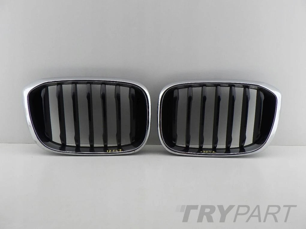 BMW X3 G01 X4 G02 right left kidney grill grille