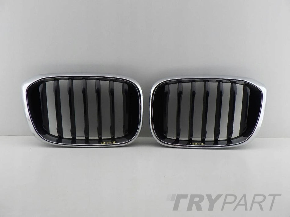 BMW X3 G01 X4 G02 right left kidney grill grille