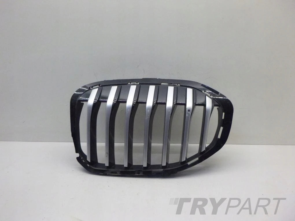 BMW 1 F40 Grille Kidney Left