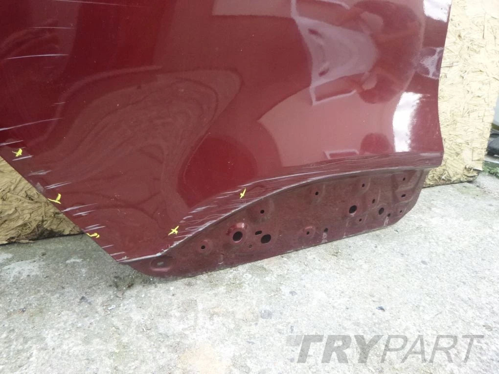 RENAULT SCENIC IV 16- Rear Right Door