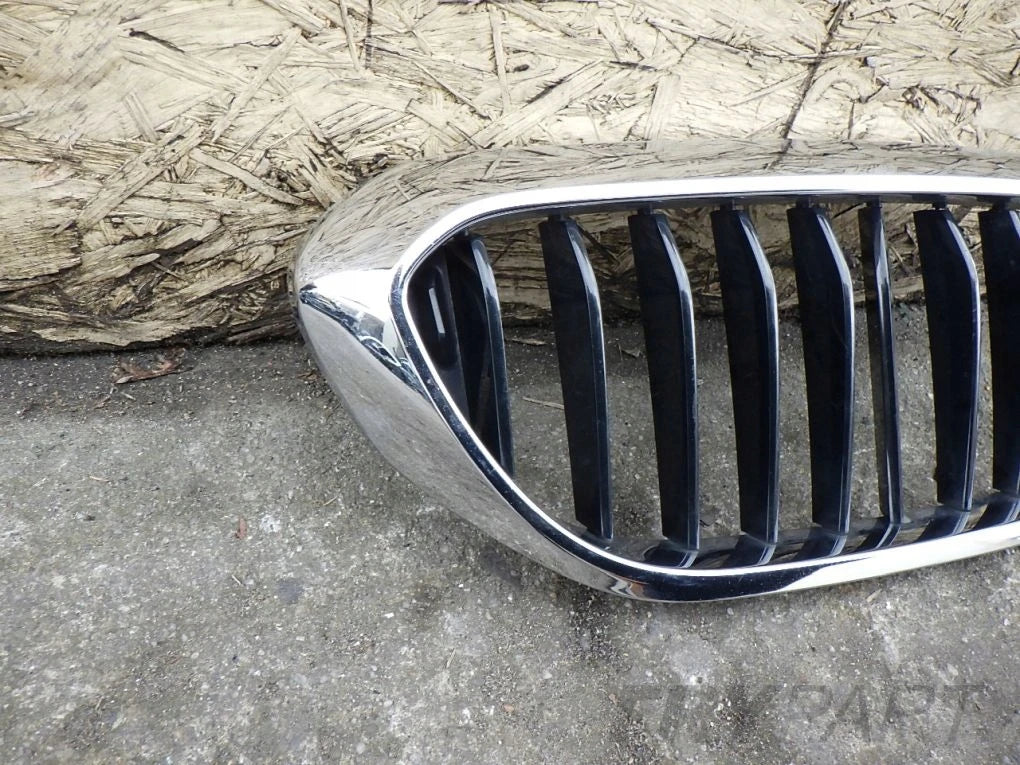 BMW 5 G30 G31 Grille