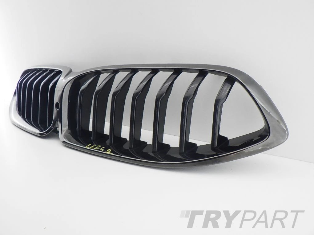 BMW 8 G14 G15 G16 Grille