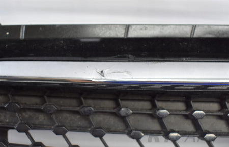 MERCEDES GT AMG W190 FRONT BUMPER GRILLE ORG