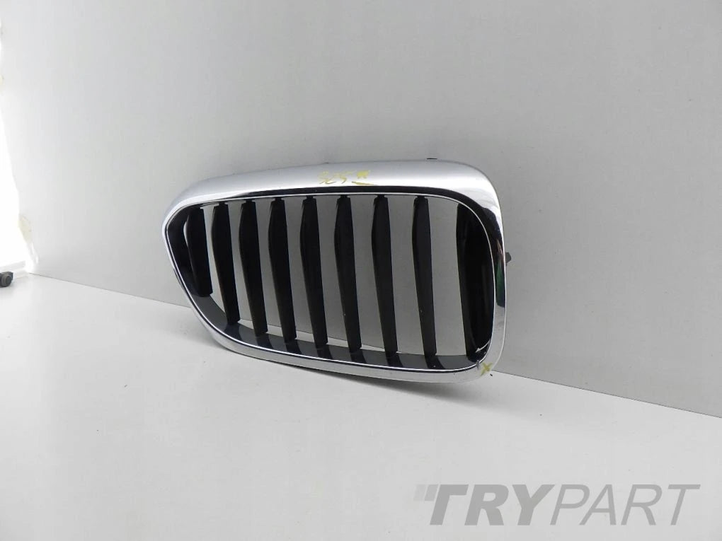 BMW 5 G30 G31 Right Kidney Grille