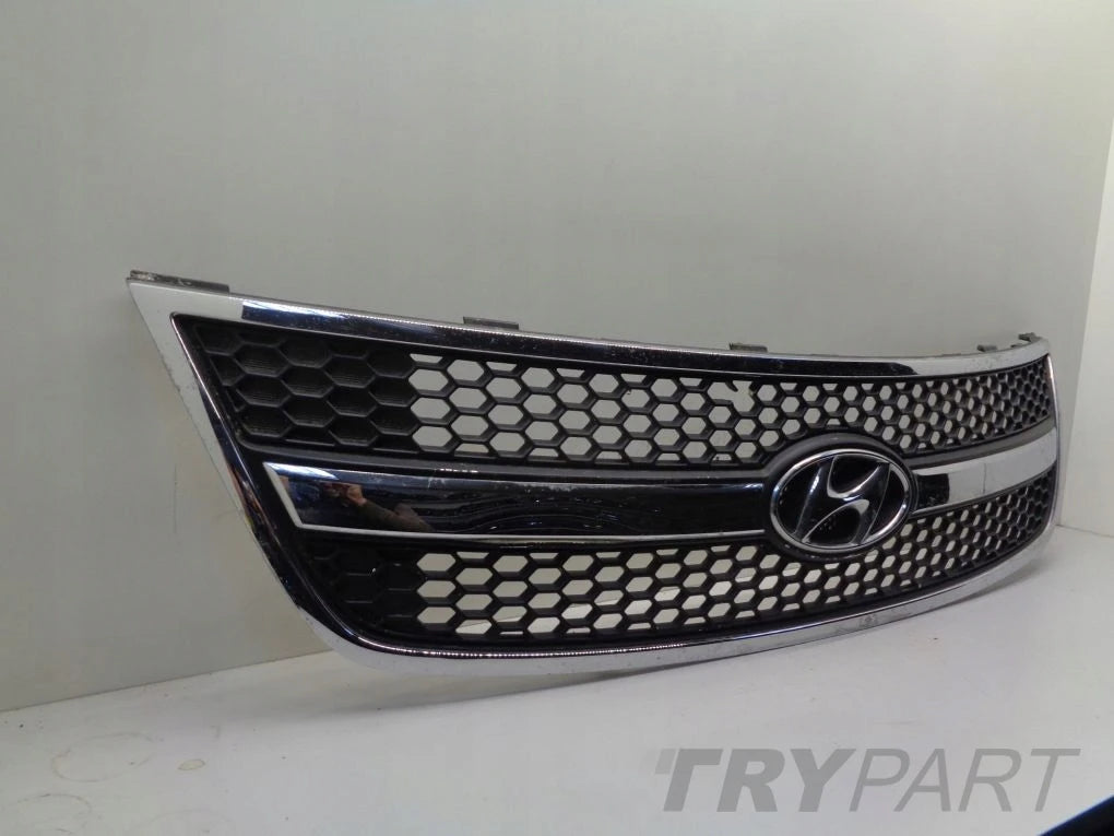 HYUNDAI H1 II 07- grill catcher