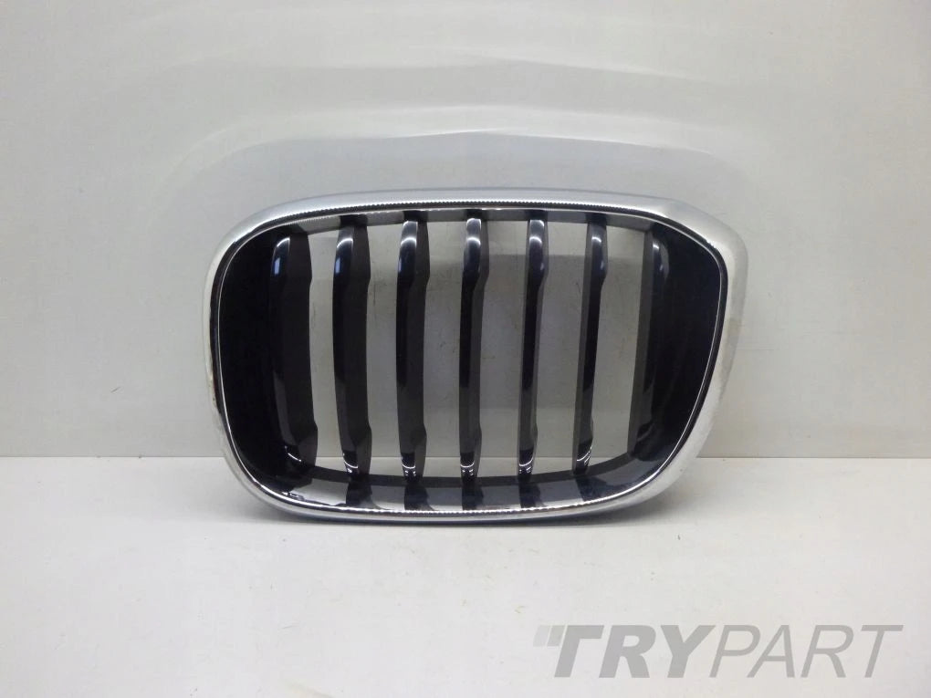 BMW X3 G01 X4 G02 left kidney grille