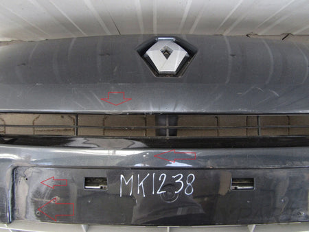 Front bumper RENAULT GRAND SCENIC III 3 09-12