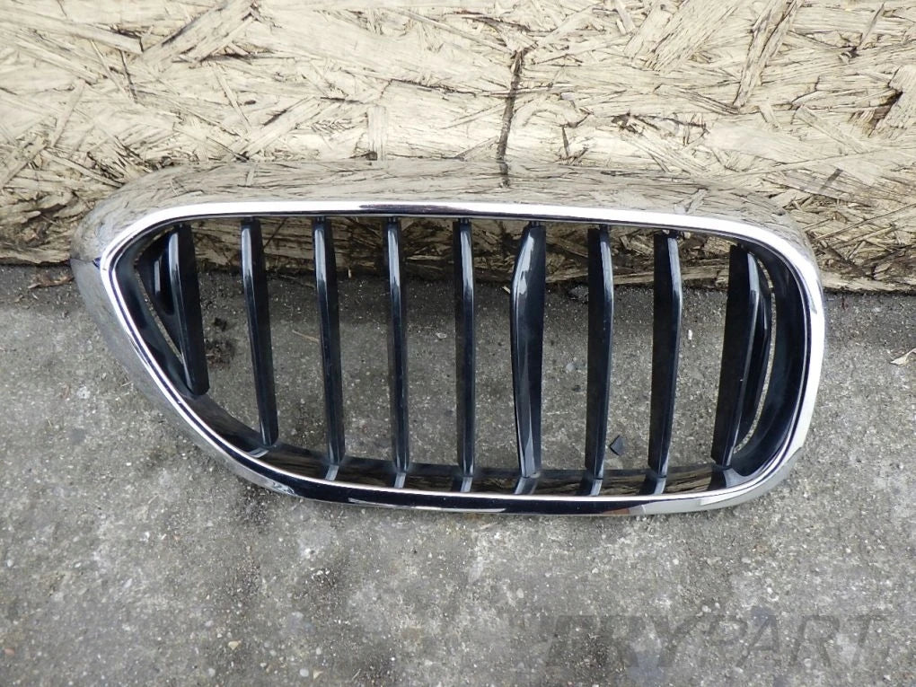 BMW 5 G30 G31 Grille