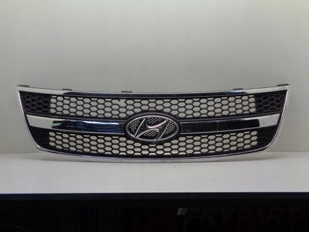 HYUNDAI H1 II 07- grill catcher