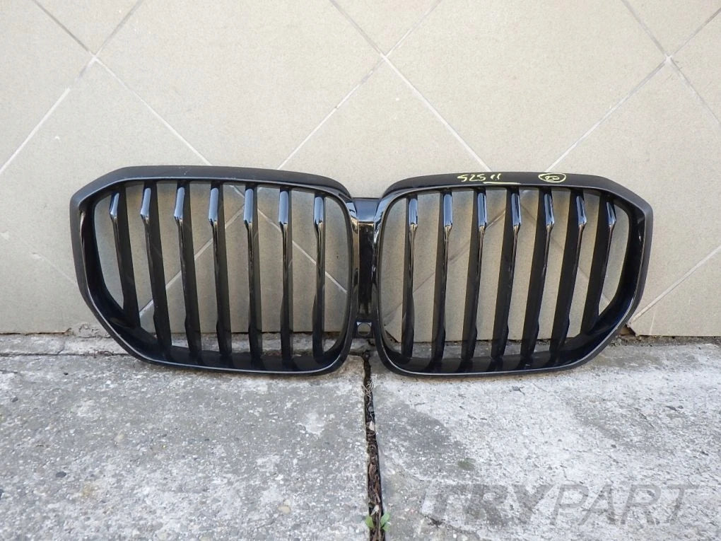 BMW X5 G05 X6 G06 Kidney Grille
