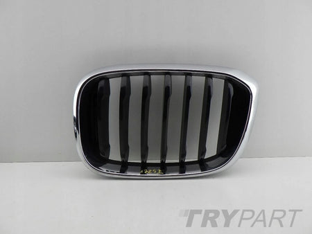BMW X3 G01 X4 G02 right left kidney grill grille