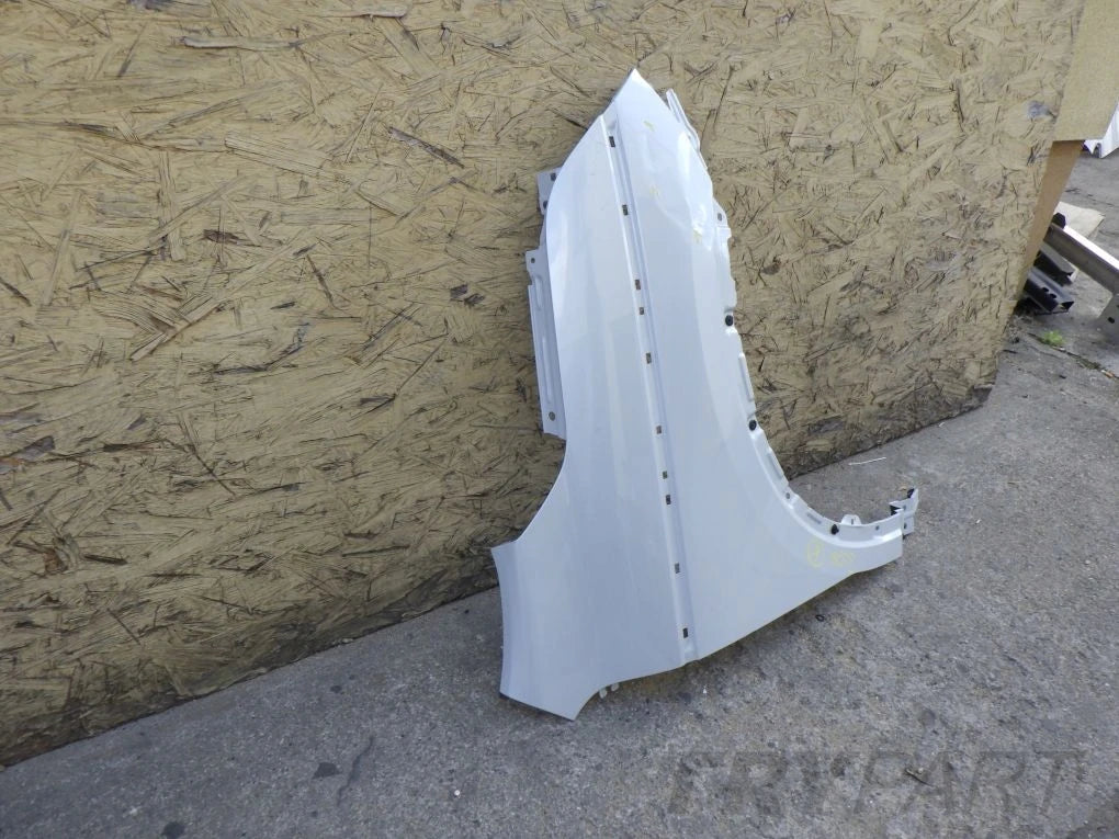 RENAULT KOLEOS II 2 16- Front Right Fender