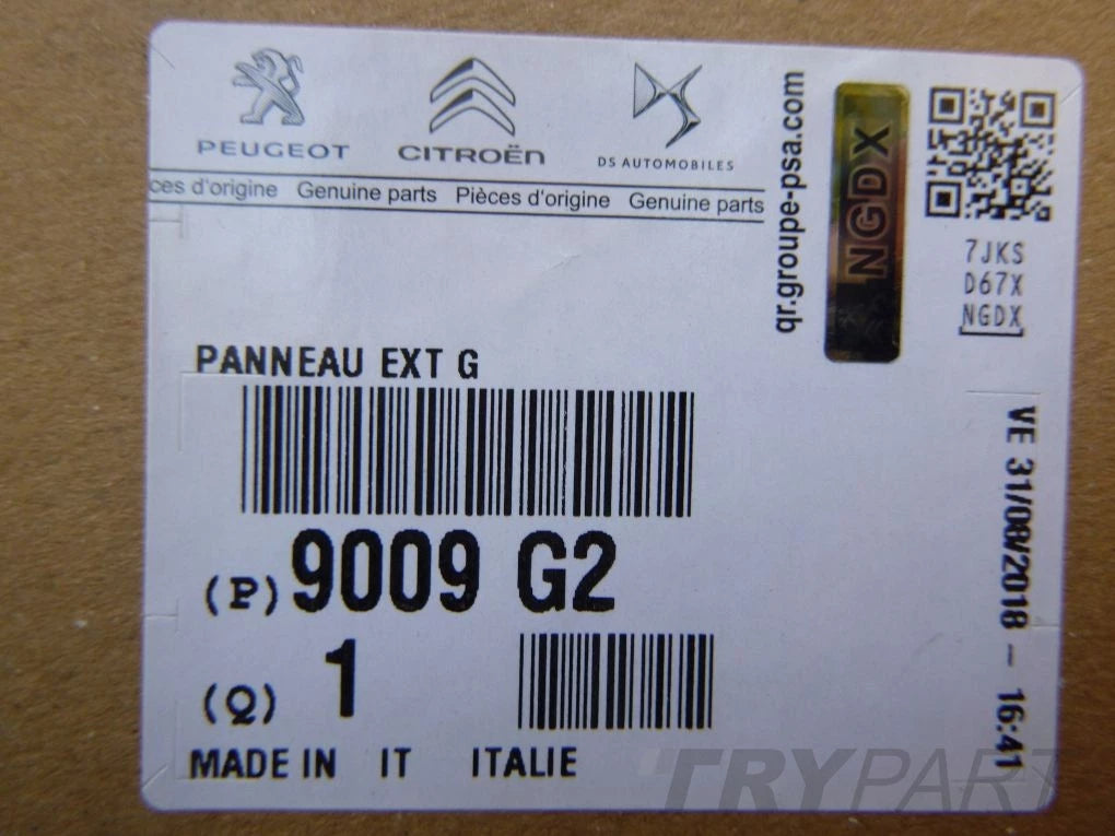 Ducato Boxer Jumper 06- Left Front Door Panel