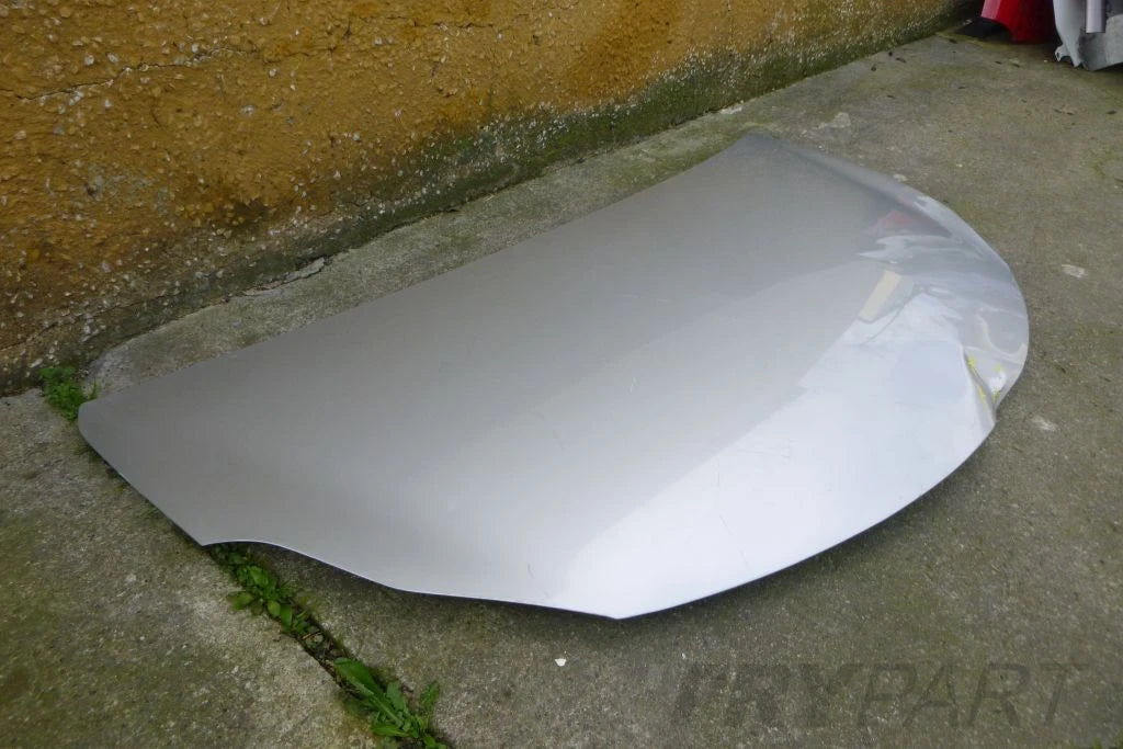 SUZUKI ALTO 09- hood