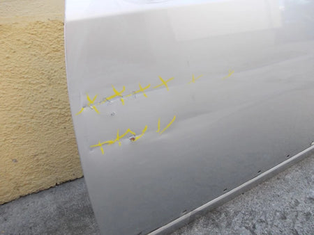 KIA CARENS III Front Left Door