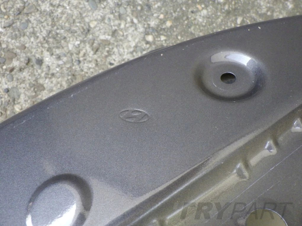 HYUNDAI ELANTRA VI 15- Right Rear Door