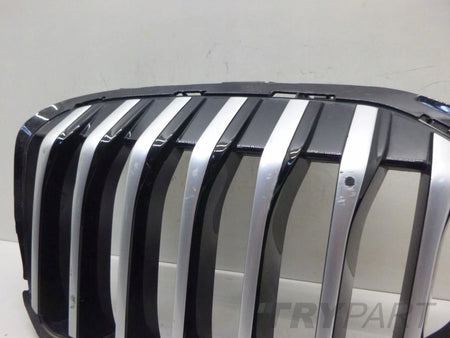 BMW 1 F40 Grille Kidney Left