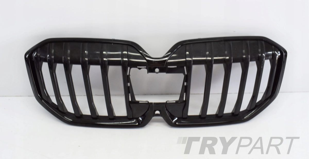 BMW 2 U06 M PACKAGE GRILLE KIDNEY BUMPER ORG