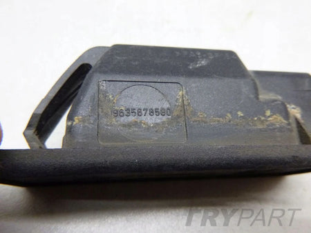 C4 PICASSO JUMPY License Plate Light