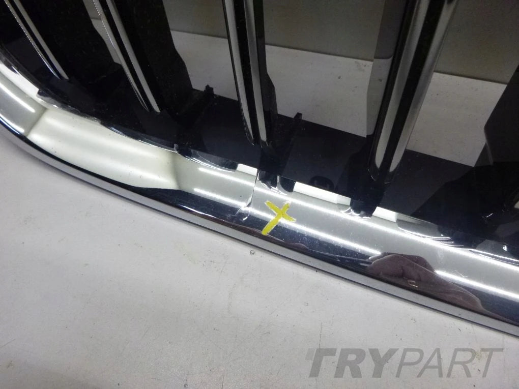 BMW 5 G30 G31 LCI LIFT GRILLE
