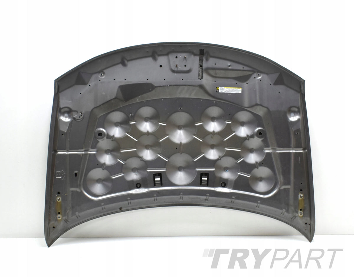 FIAT FREEMONT DODGE JOURNEY ENGINE COVER HOOD ORG