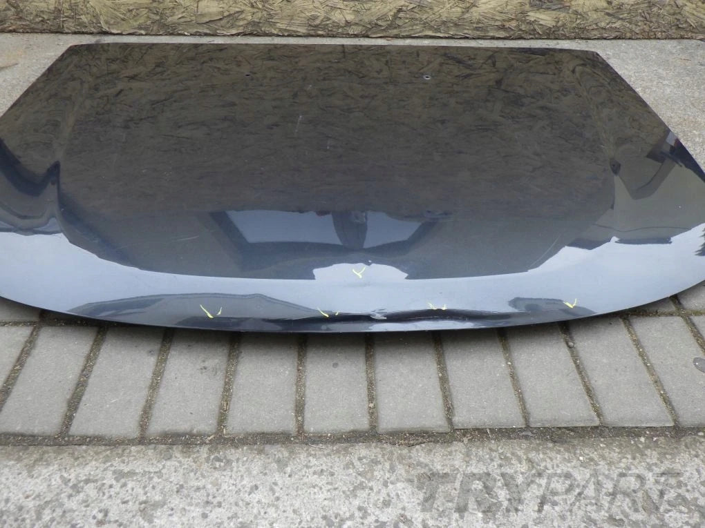DACIA DUSTER 10- Hood