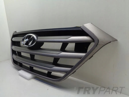 HYUNDAI TUCSON 3 III 15- grill catcher