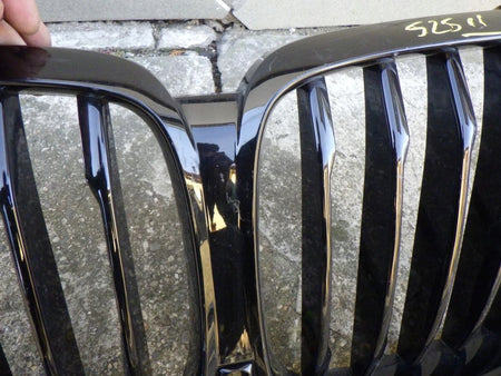 BMW X5 G05 X6 G06 Kidney Grille