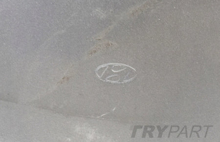 HYUNDAI IX35 LEFT FRONT DOOR GENUINE